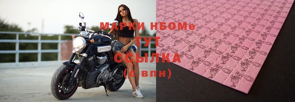 хмурый Абаза