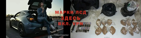 хмурый Абаза