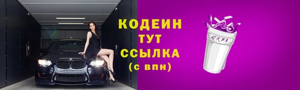 хмурый Абаза