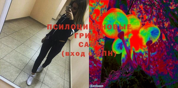 хмурый Абаза