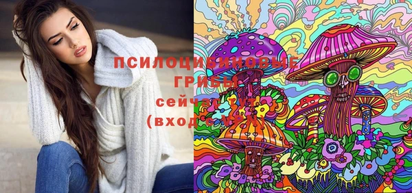 винт Абинск