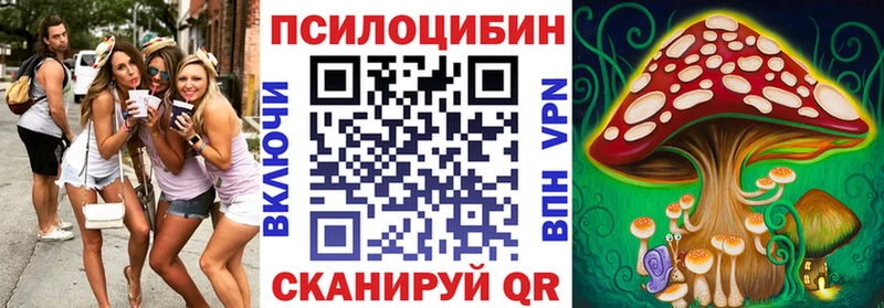 Псилоцибиновые грибы прущие грибы  где купить наркоту  Новоалександровск 